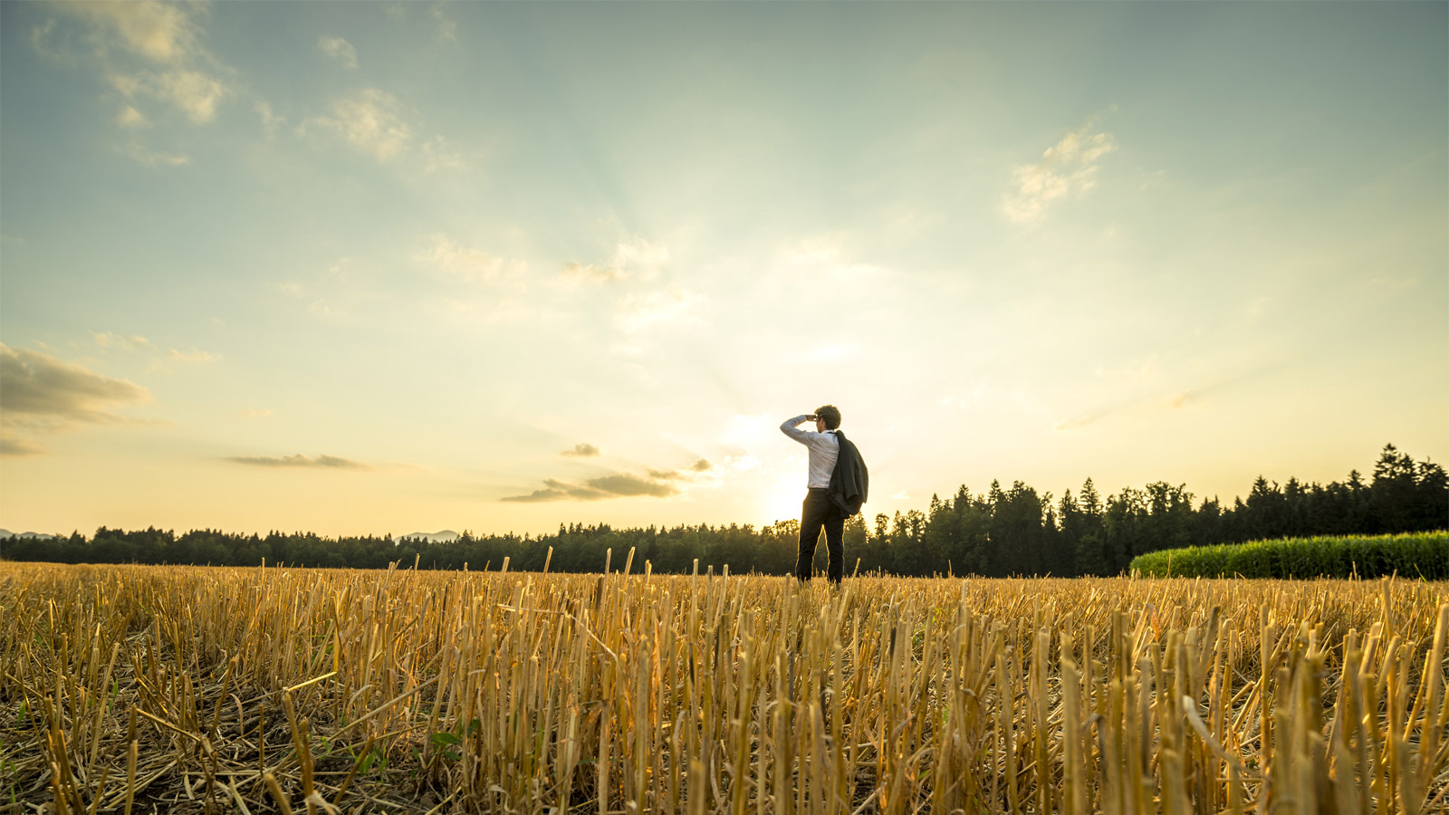 The field is changing. Бизнесмен в поле. Гляну в поле гляну в небо. Смотр полей. Looking at the field.